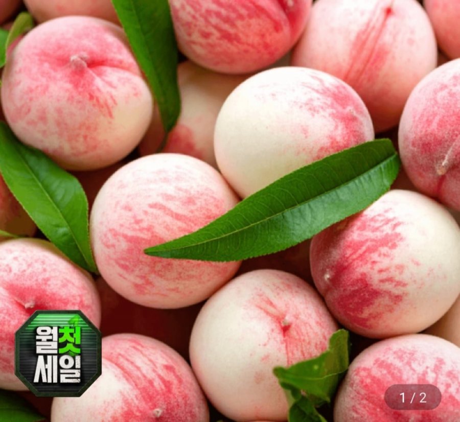 백도복숭아 4kg 중소과 (19,990원/무료)