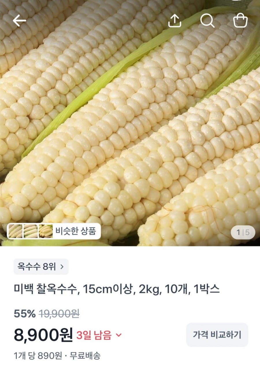 햇 미백 찰옥수수, 15cm이상, 2kg, 10개 (8,900원/무배)