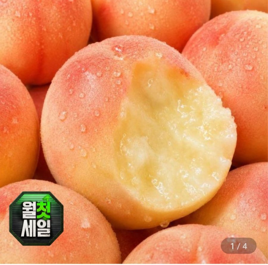 딱딱이 백도 복숭아 중대과2kg (13,840원/무료)