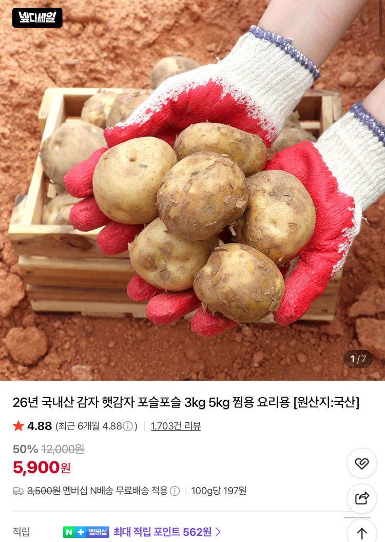 26년 국내산 햇감자 왕특 사이즈 3kg 5900원