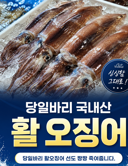 국산 생물  오징어 1kg( 6-8미) 특대 당일바리 초코오징어