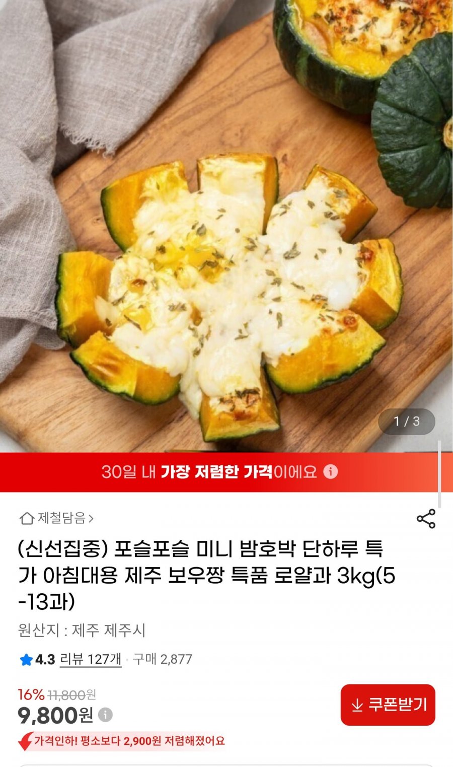 제주 미니밤호박 보우짱 특품 로얄과 3kg (9,800원/무배)