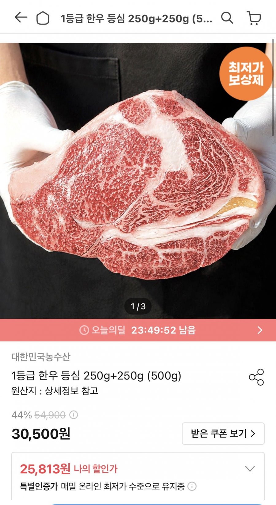 1등급 한우 등심 250g+250g (25,813원/무료)