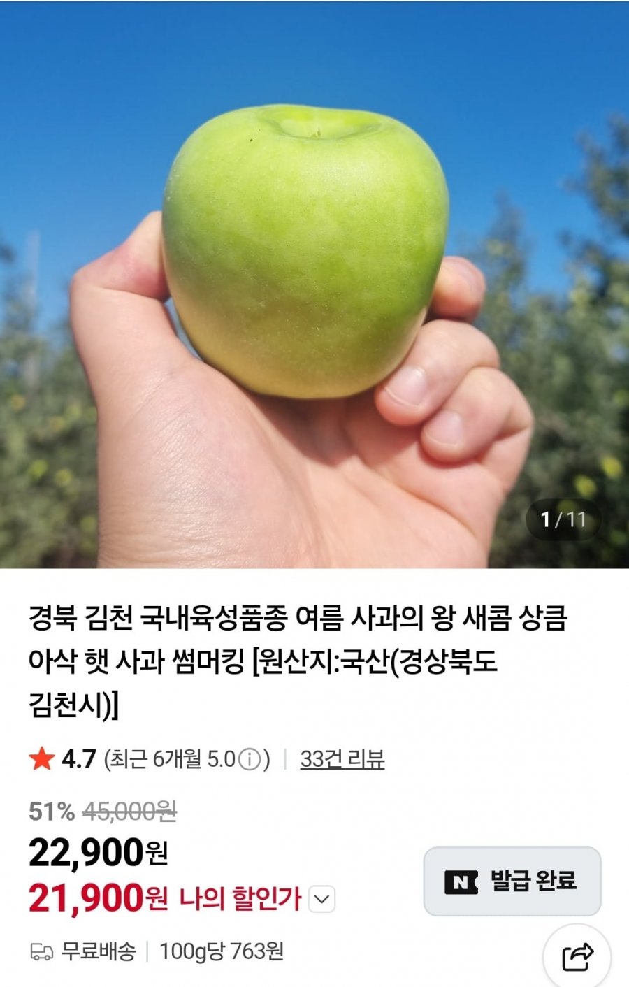 햇 사과 썸머킹 3kg 13과 이상 (21,900원/무료)