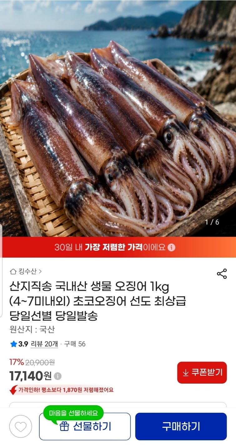 산지직송 국내산 생물 오징어 1kg (4~7미내외)(17,140원/무료)