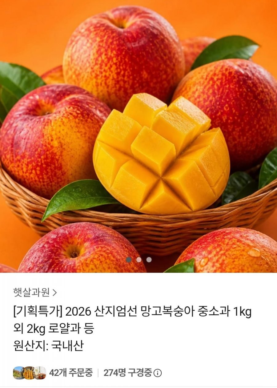 망고복숭아 중소과 1kg 외 (8,790원 / 무배)
