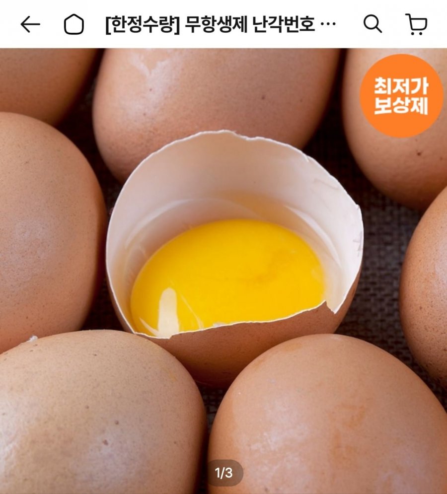무항생제 난각번호 1번 유정란 40구 선착쿠폰 (토스16,331원/무료)