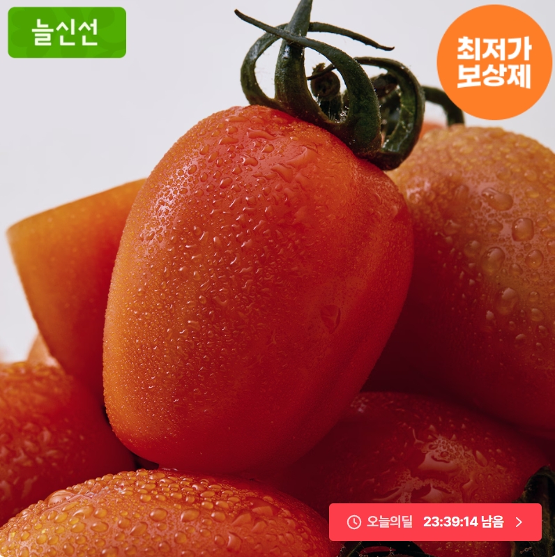 스테비아 토망고 500g 4팩 (2kg) 7,767원