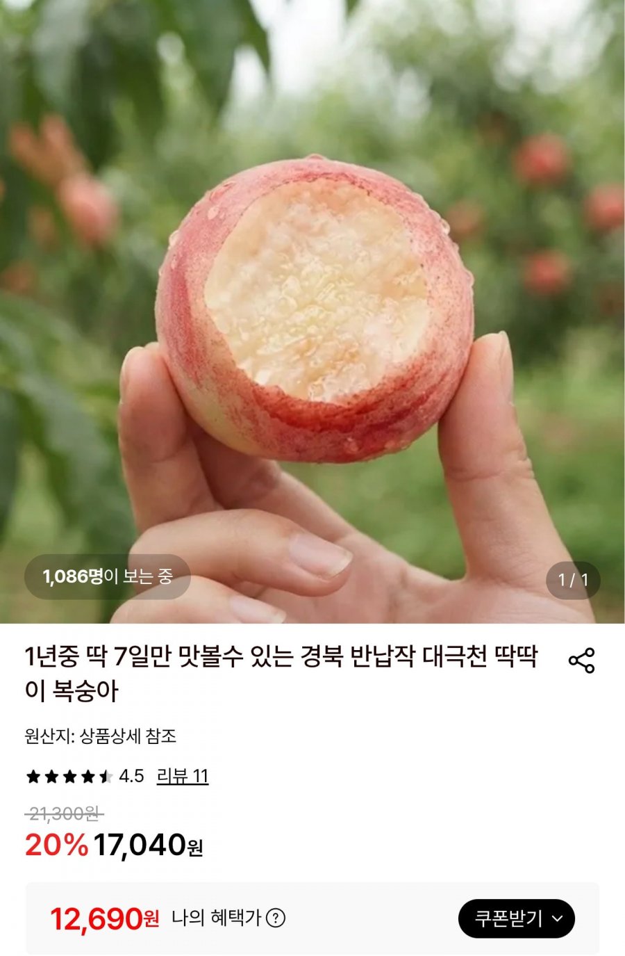 경북 반납작 대극천 딱딱이 복숭아 2kg (12,690원/무배)