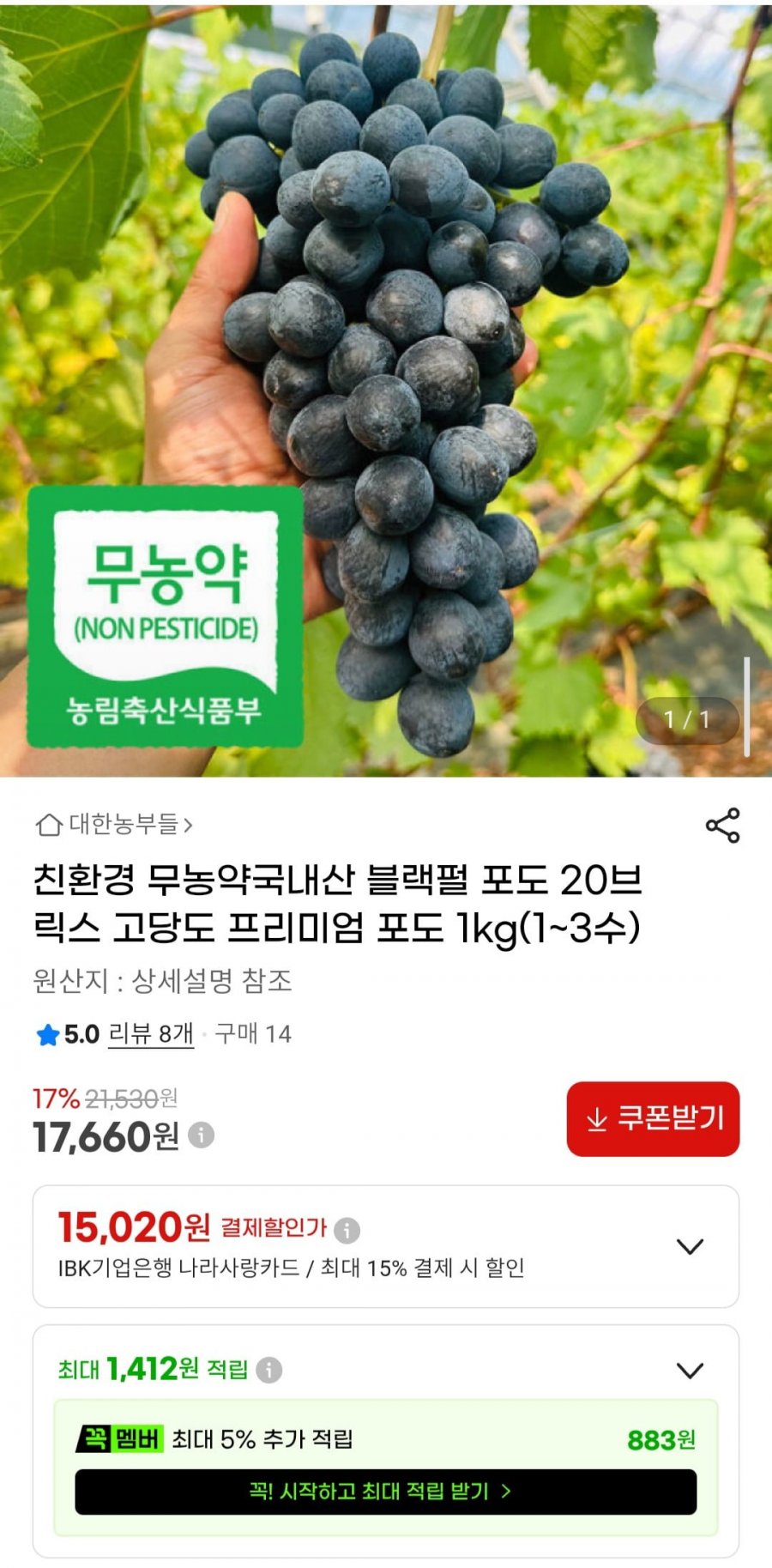 친환경 무농약 국내산 블랙펄 포도 20브릭스 고당도 1kg(1~3수) (17,660원/무료)