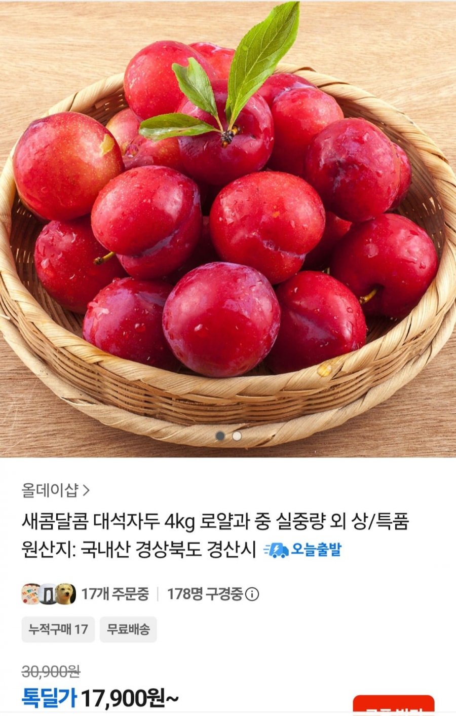 국내산 대석자두 4kg 로얄과 (17,970원 / 무배)
