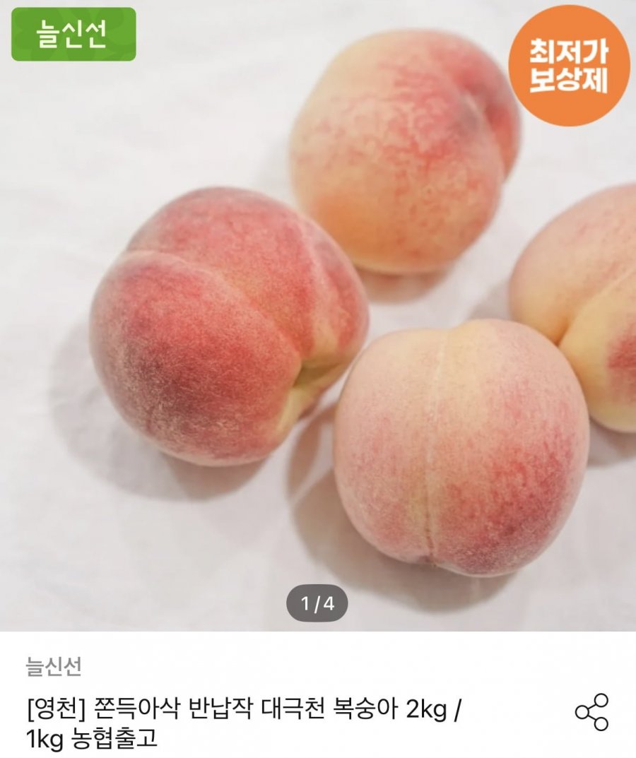 대극천복숭아 2kg (10,958원/무료)