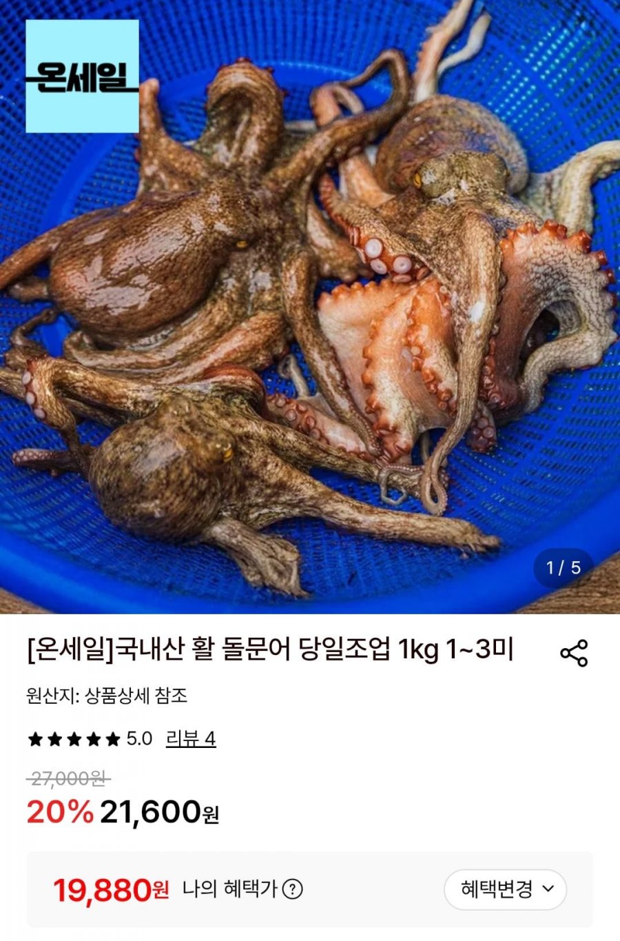 국내산 활 돌문어 당일조업 1kg 1~3미 (19,880원/무료)
