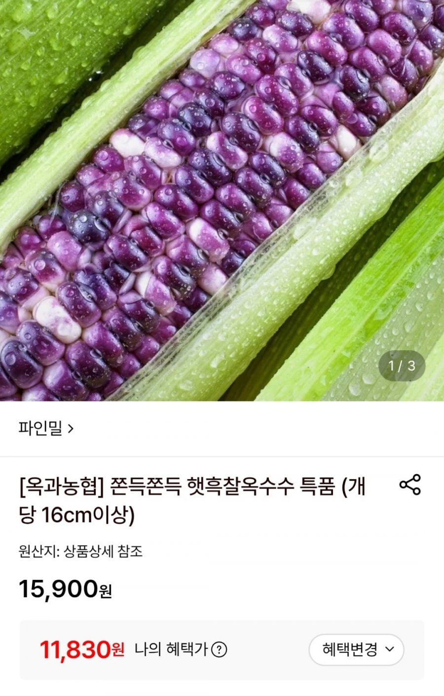 햇흑찰옥수수 특품 10송이 (카카오11,830원/무료)