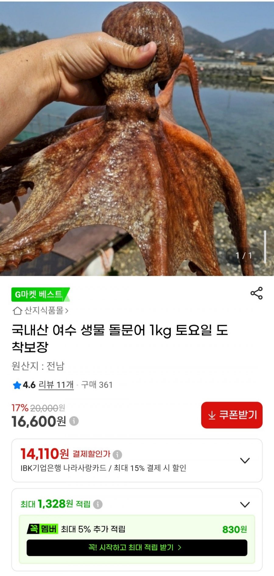 국내산 여수 생물 돌문어 1kg (16,600원/무료)