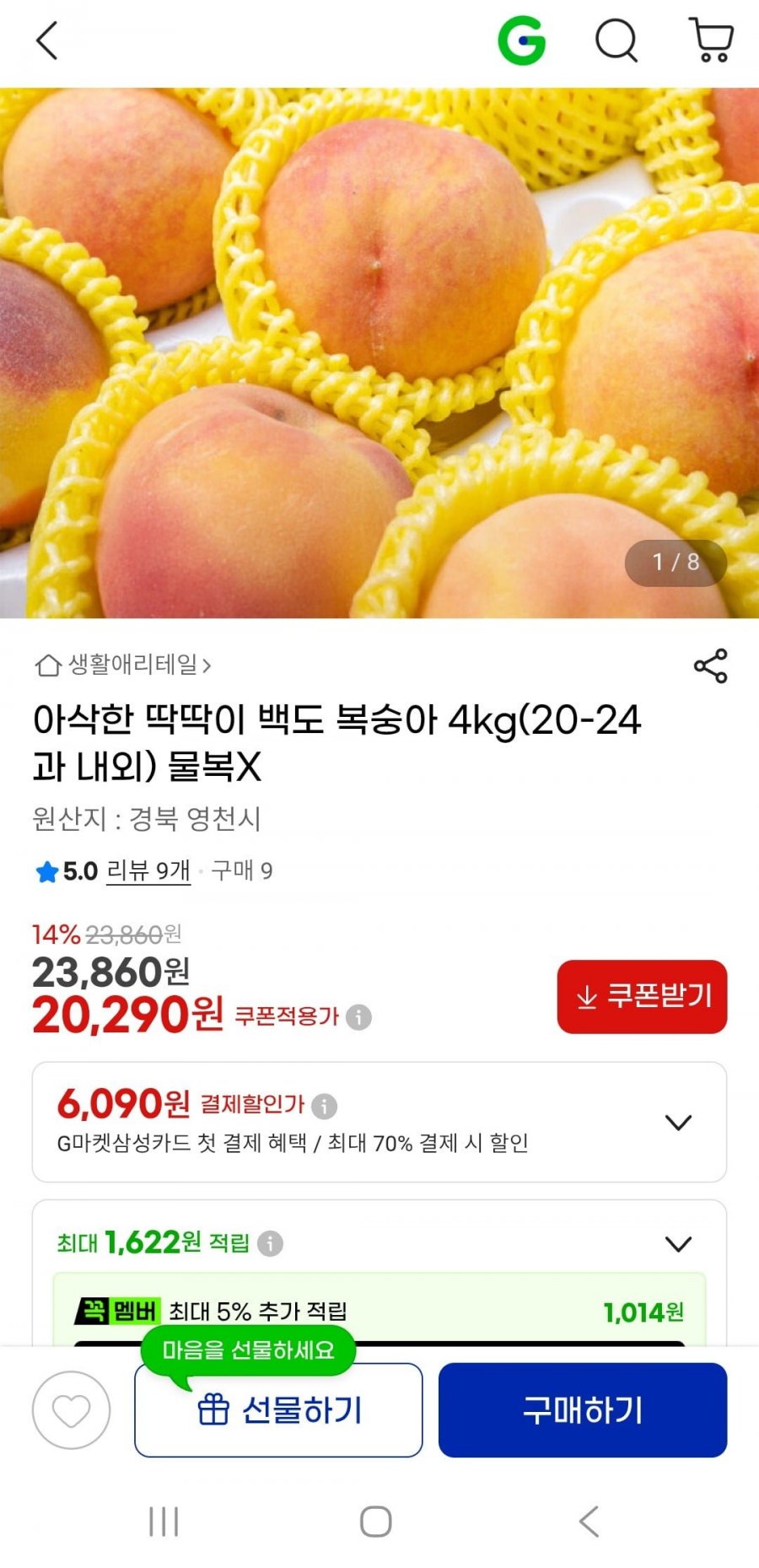 딱딱이 백도 복숭아 4KG 20과-24과(20,290원/무배)