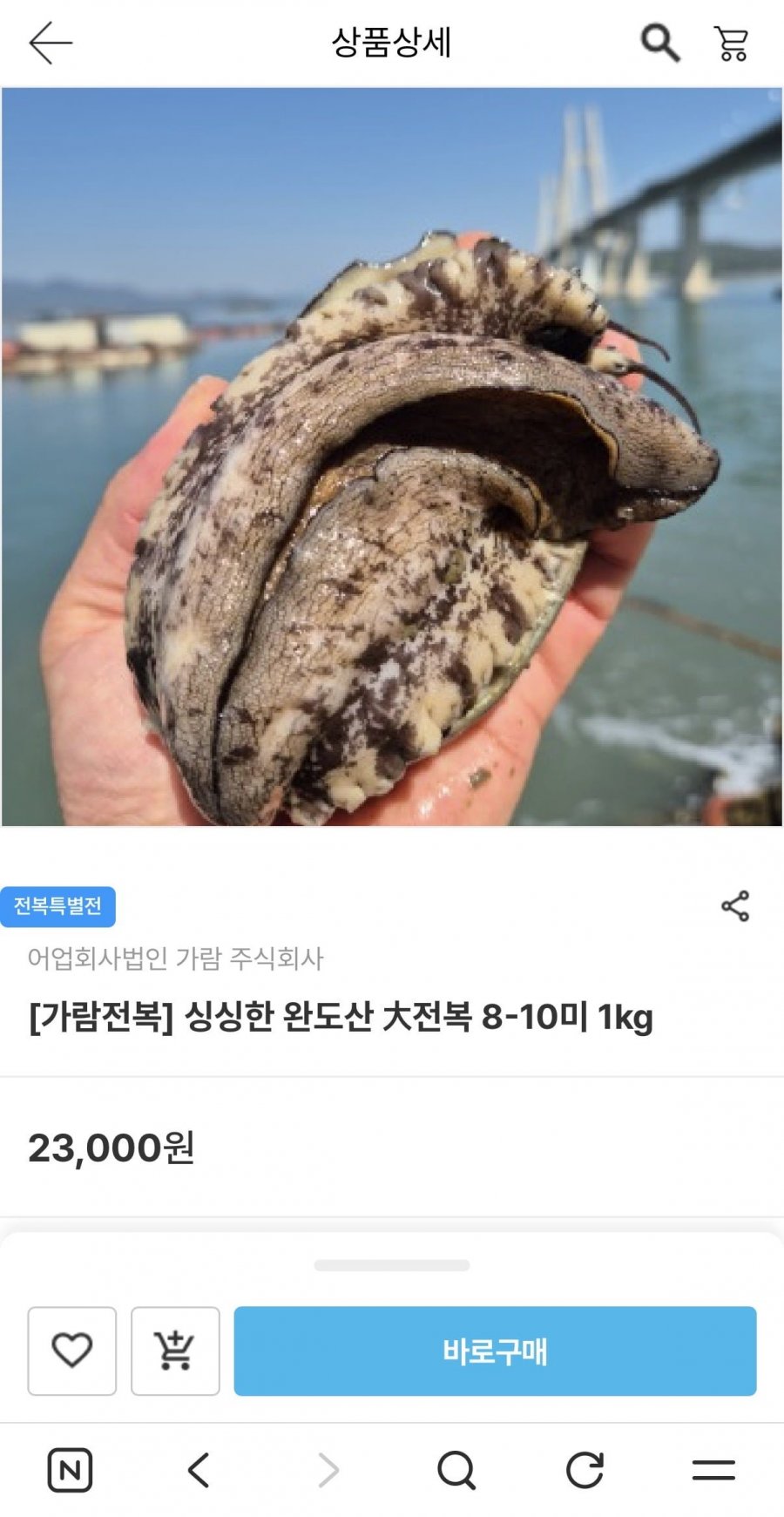 완도산 전복 8-10미 1kg (18,400원/무배)