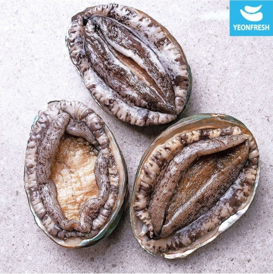 완도 활 전복 1kg 9-10미 (16,750원/무배)