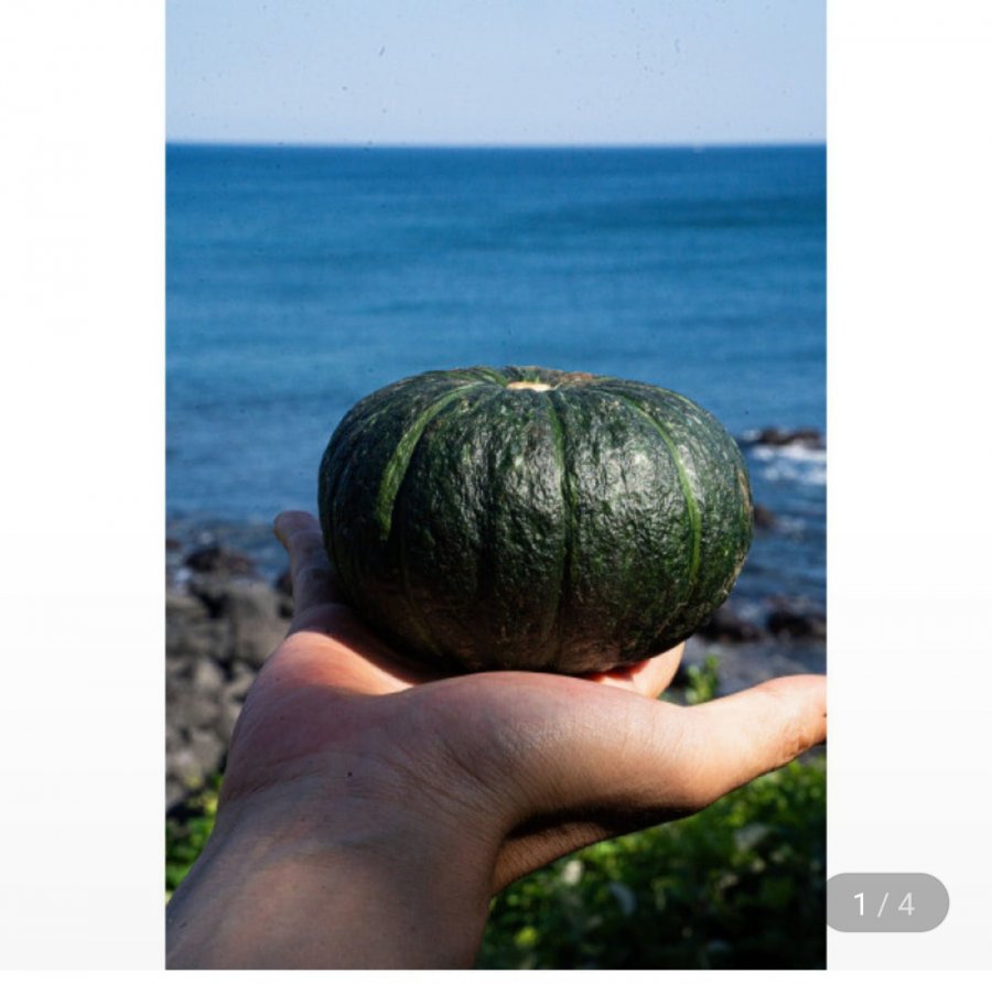 미니 밤호박 4kg (12,330원/무료)