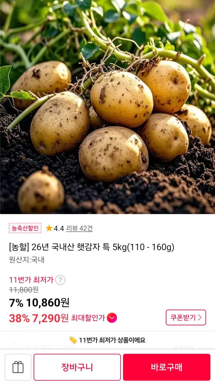 국내산 햇감자 특 5kg (110-160g) (7,610원/무료)