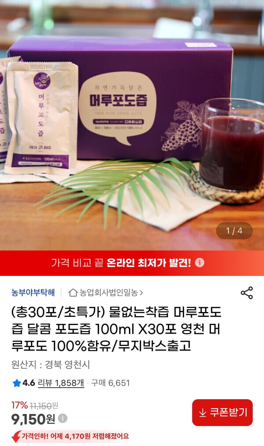 영천 머루포도즙 100ml 30포 (9,150원/무료)