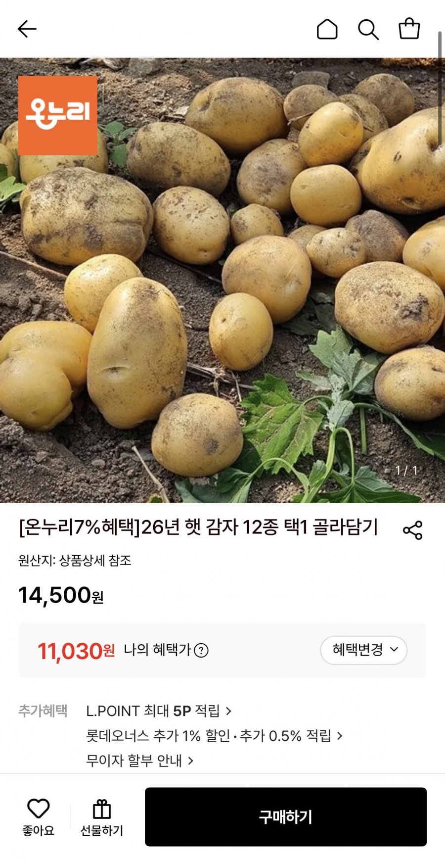 햇 감자 중 10kg 조림&알감자용 중량 (50g~80g) (11,030원/무료)