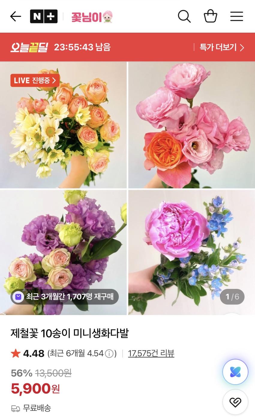 제철꽃 10송이 미니생화다발 5,900원