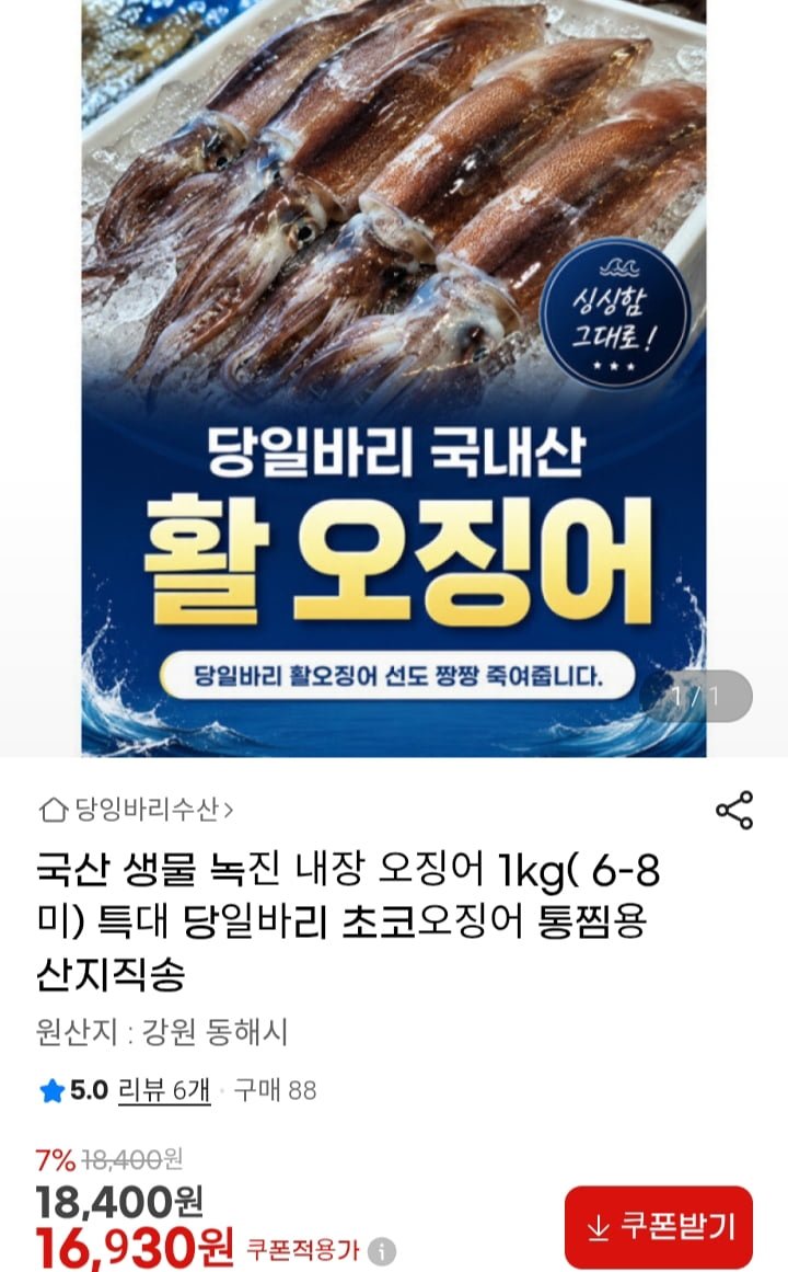 국산 생물 녹진 내장 오징어 1kg( 6-8미)  당일바리 초코오징어 통찜용( 16,930/무배)