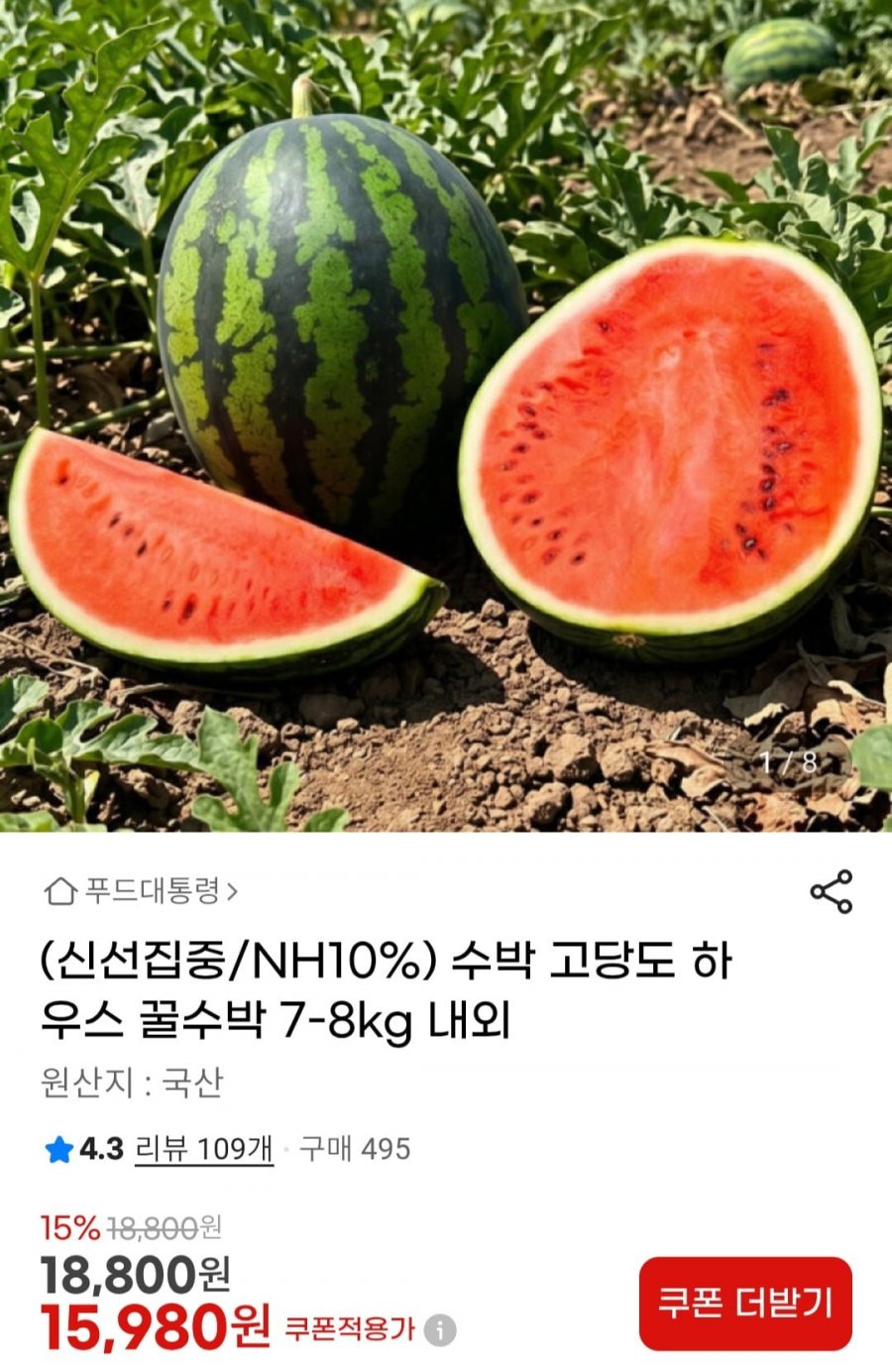 수박 고당도 하우스 꿀수박 7-8kg(농카 14,390원/무배)