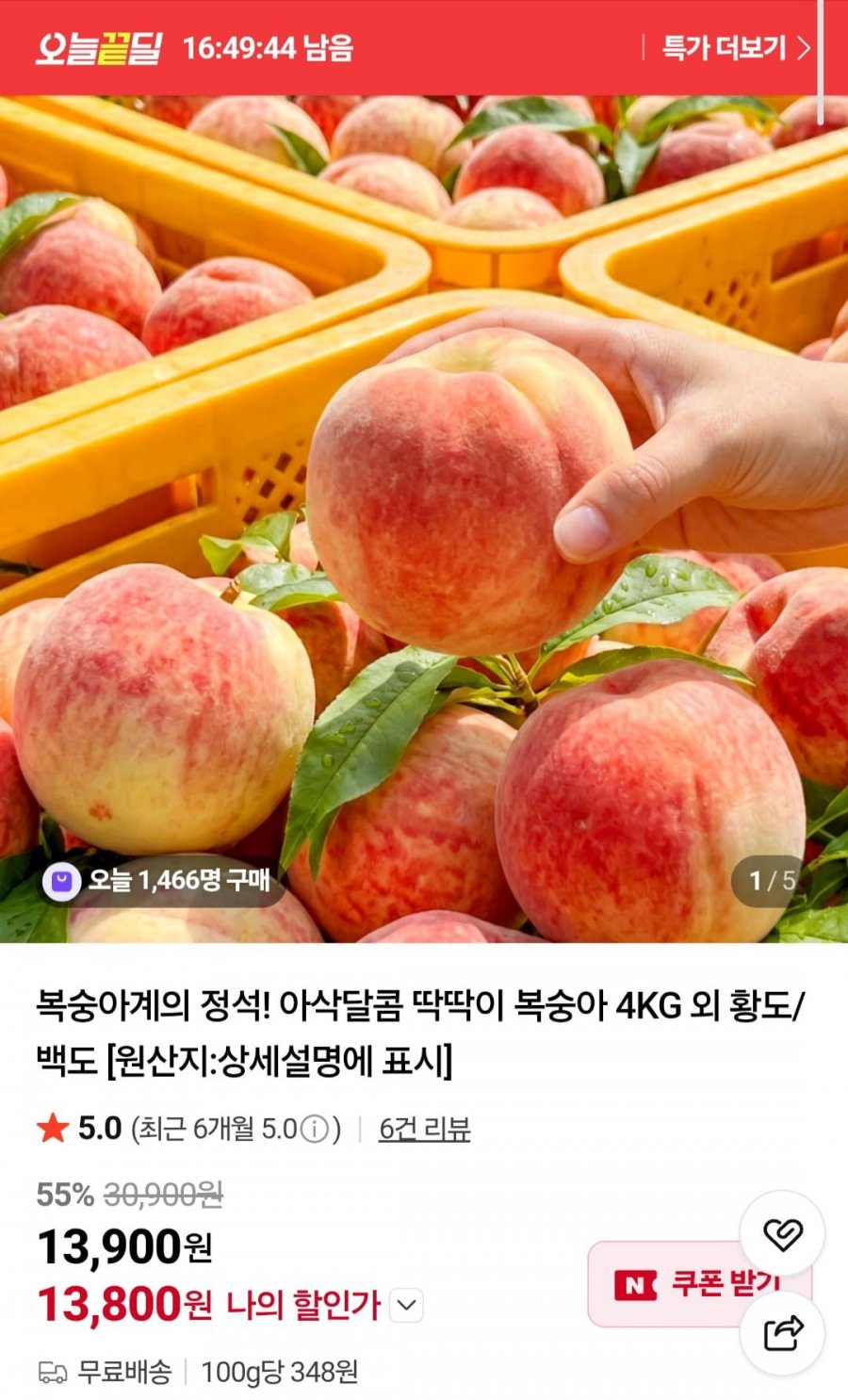 아삭달콤 딱딱이 복숭아 소과 4KG 외 황도/백도 (13,800원/무료)