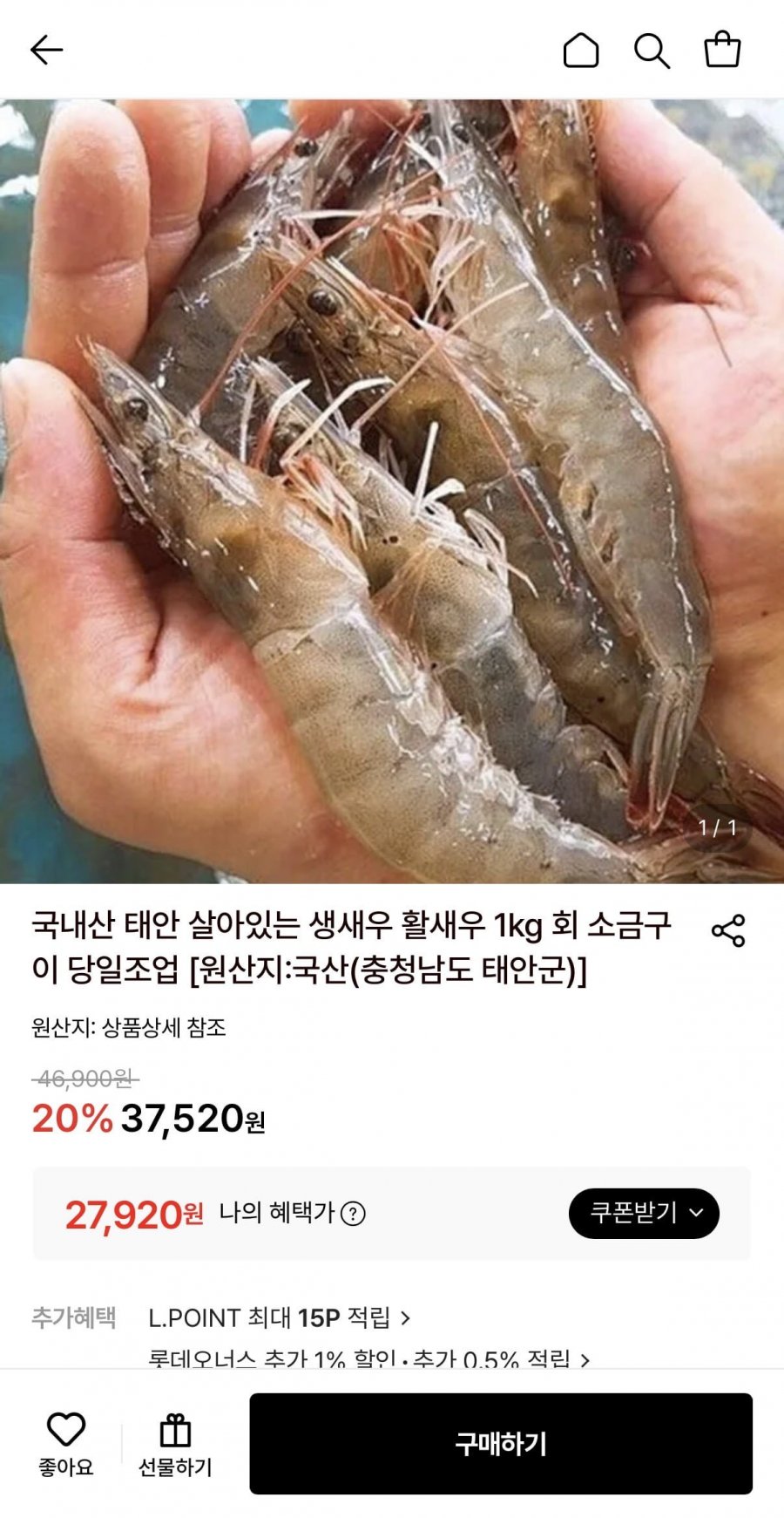 국내산 태안 생새우 1kg (27,920원/무배)