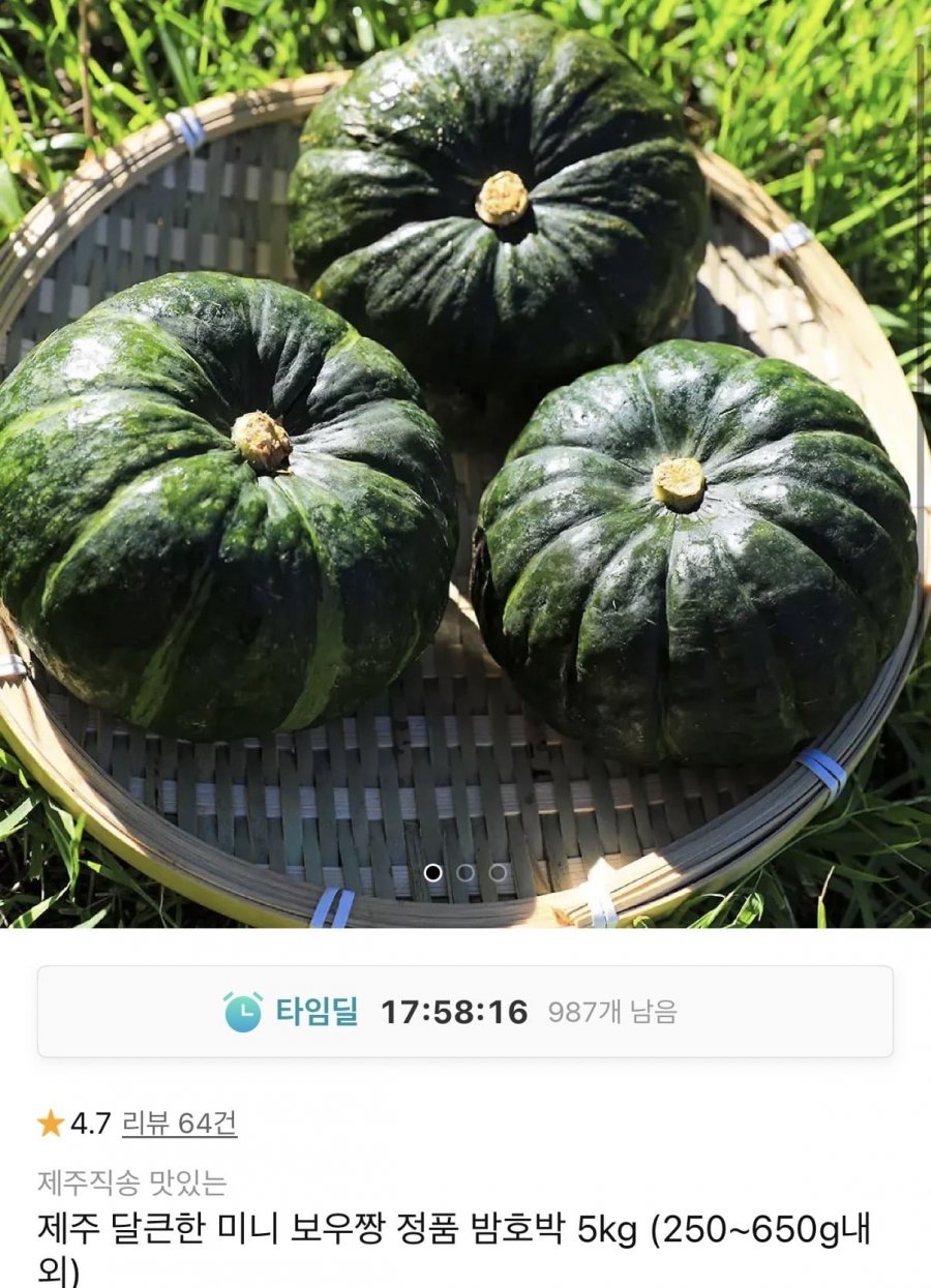 제주 미니 보우짱 정품 밤호박 5kg (11,830원/무료)