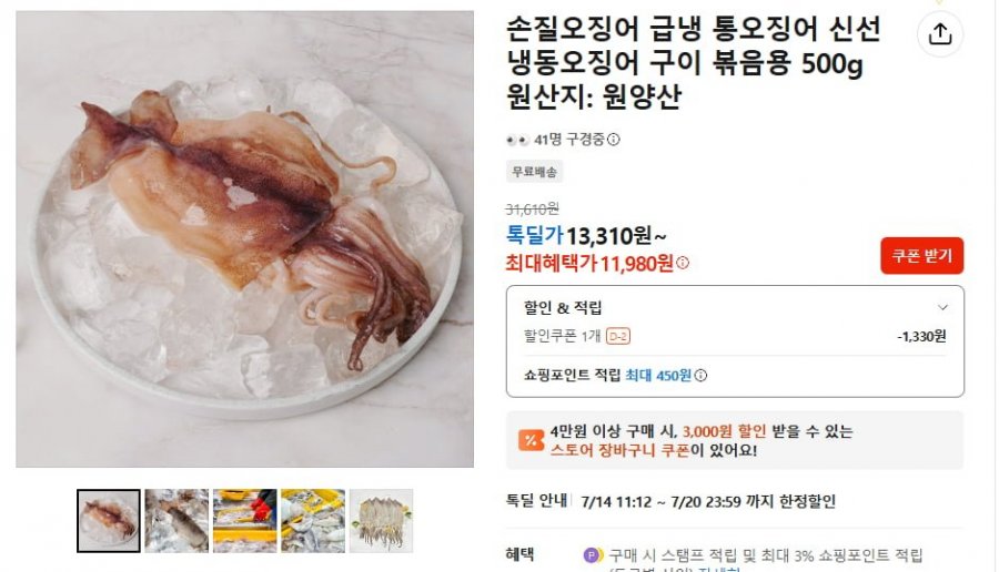 냉동오징어 구이 볶음용 500g (13,310원 / 무료배송)