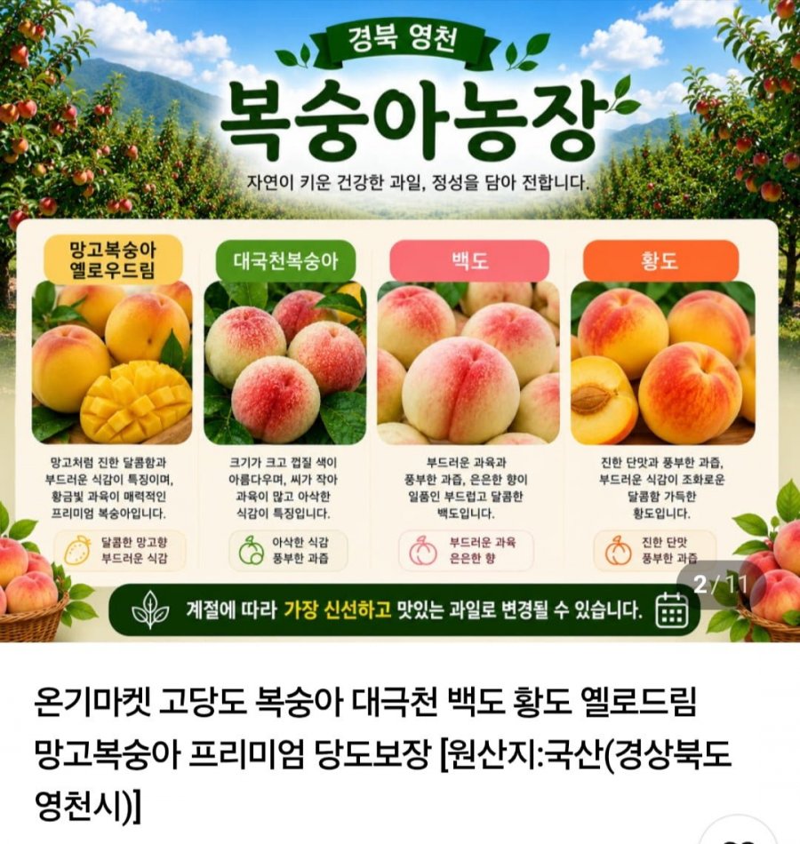 고당도 대극천 복숭아 중소과 2kg (10,500원/무료)