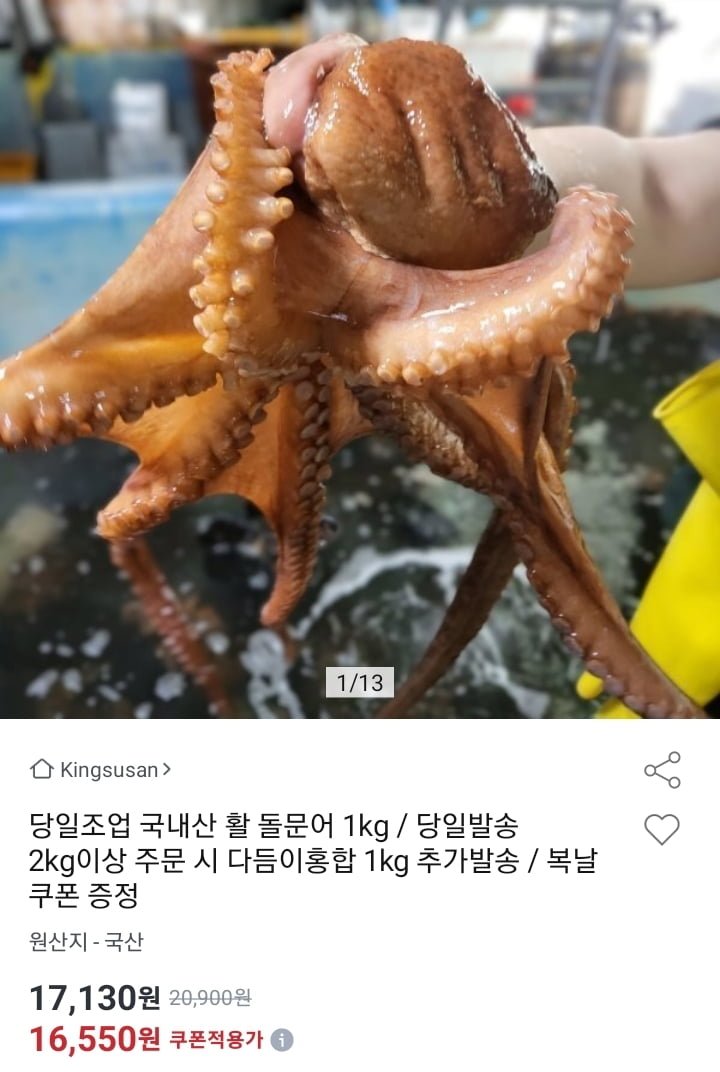 당일조업 국내산 활 돌문어 1kg 1-3미 (16,550원/무료)