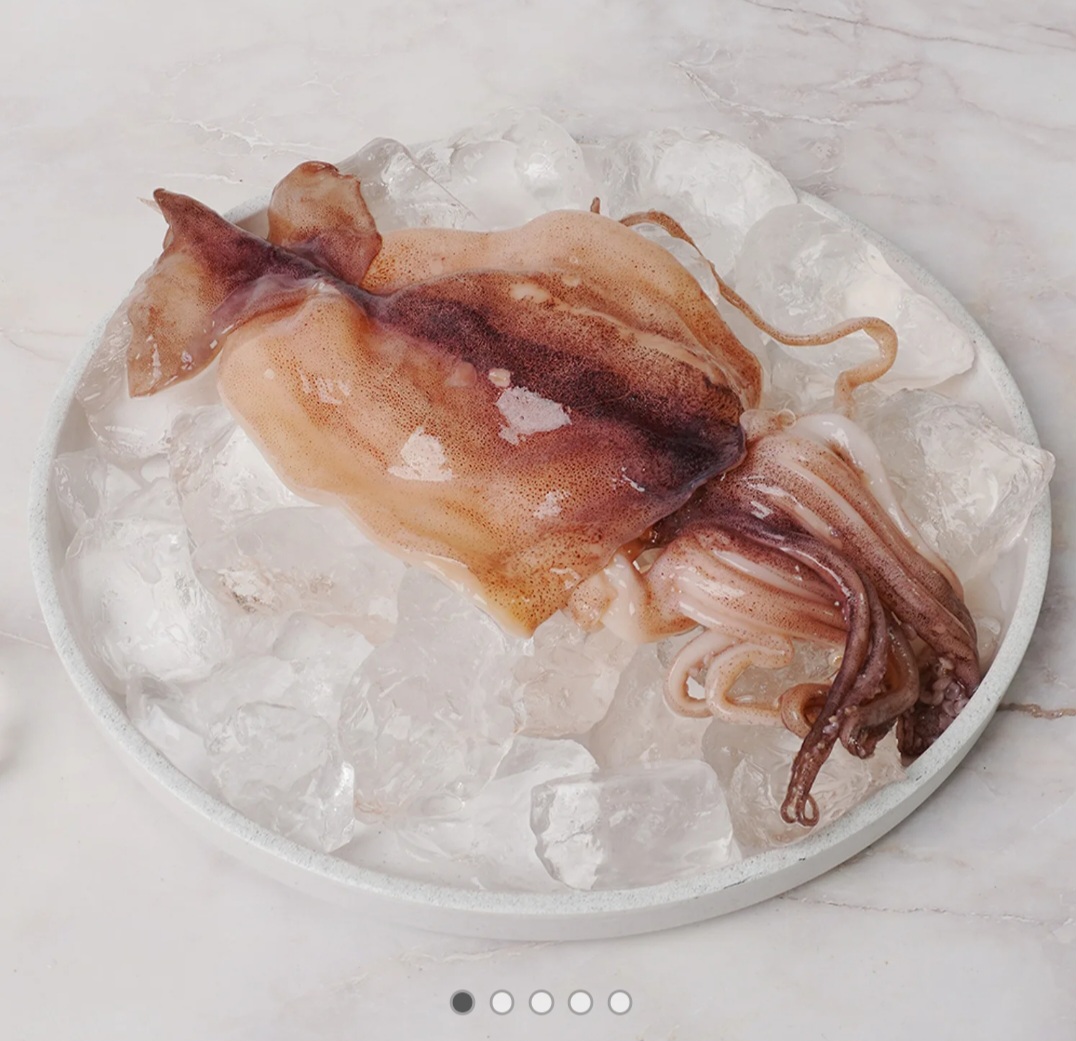 냉동오징어 구이 볶음용 500g (11,980원 / 무료배송)