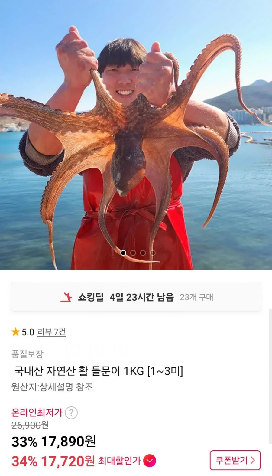 국내산 자연산 활 돌문어 1KG 1~3미 (17,890원/무료배송)