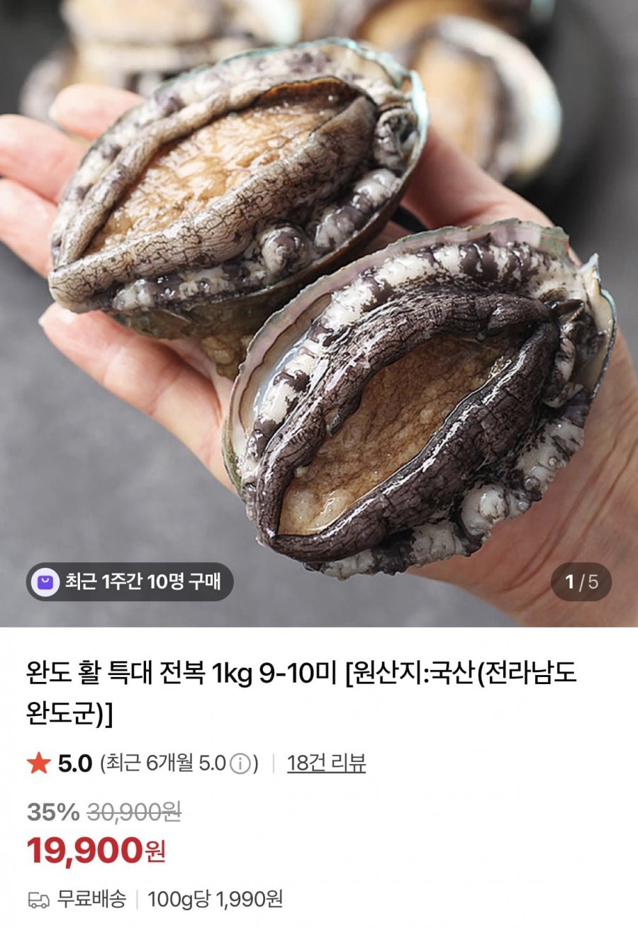 완도 활 특대 전복 1kg 9-10미 (19,900원/무료)