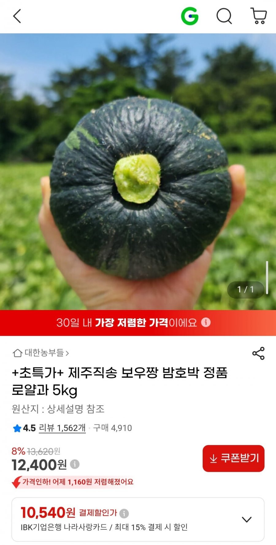 제주직송 보우짱 밤호박 정품 로얄과 5kg (12,400원/무배)