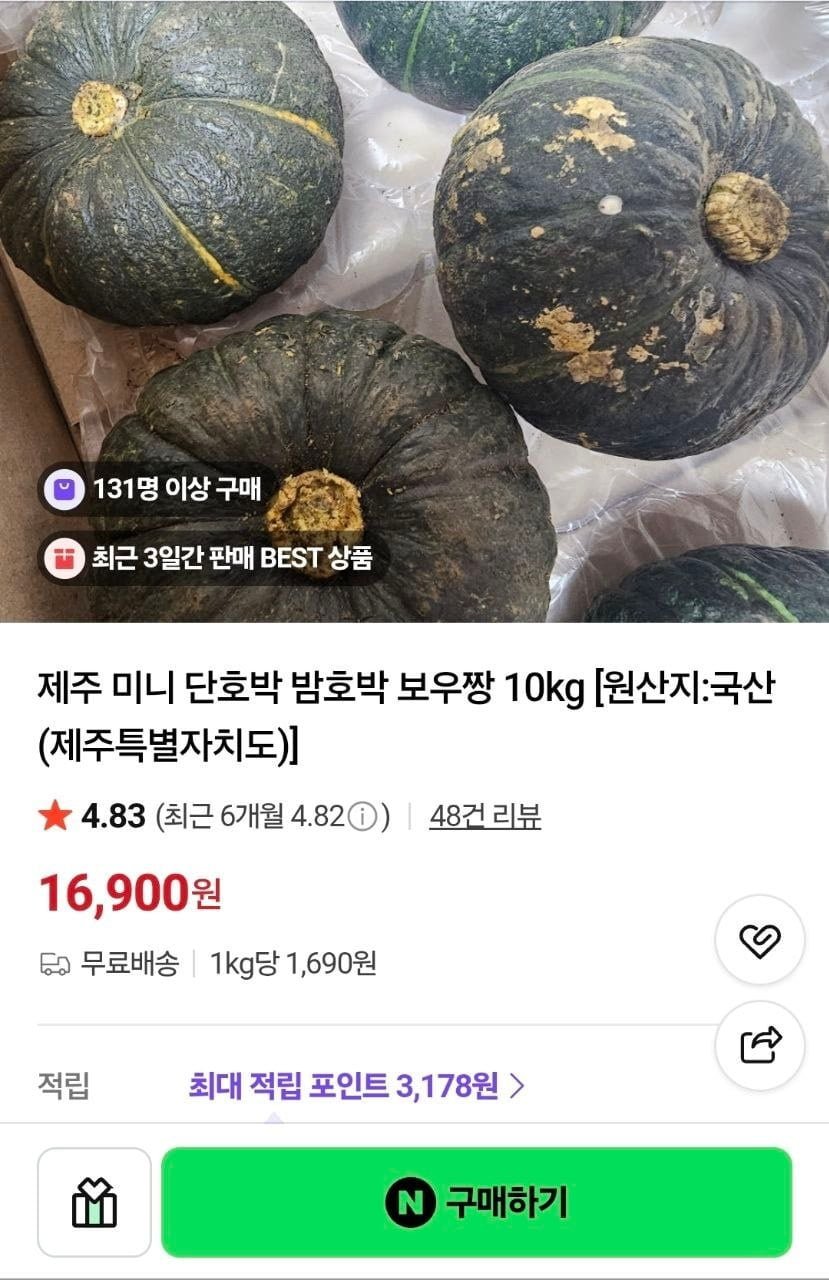 밤호박 보우짱 못난이 10kg (16,900원/무배)