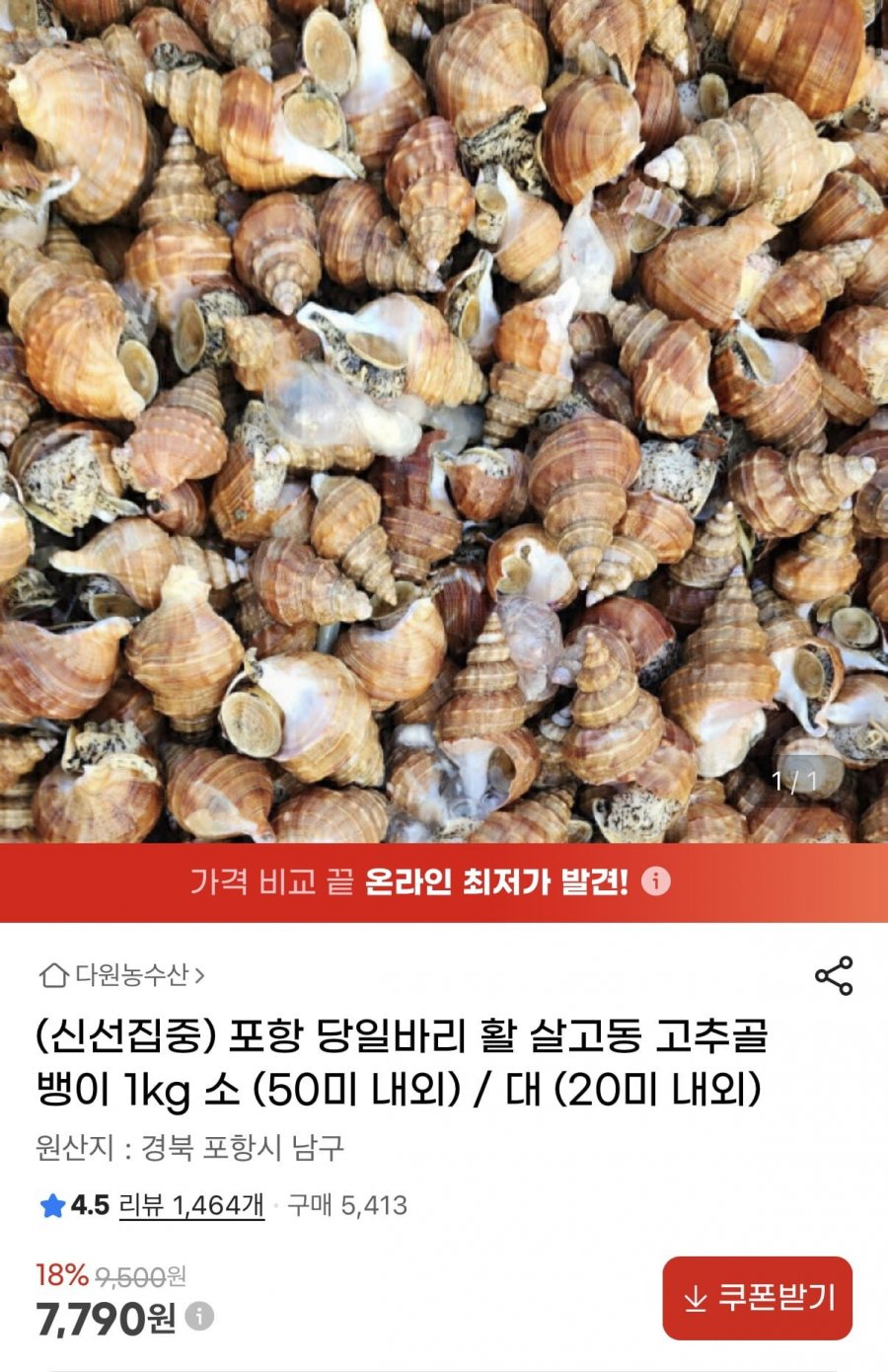 포항 활 살고동 고추골뱅이 1kg 소(50미 내외) (7,790원/무료)