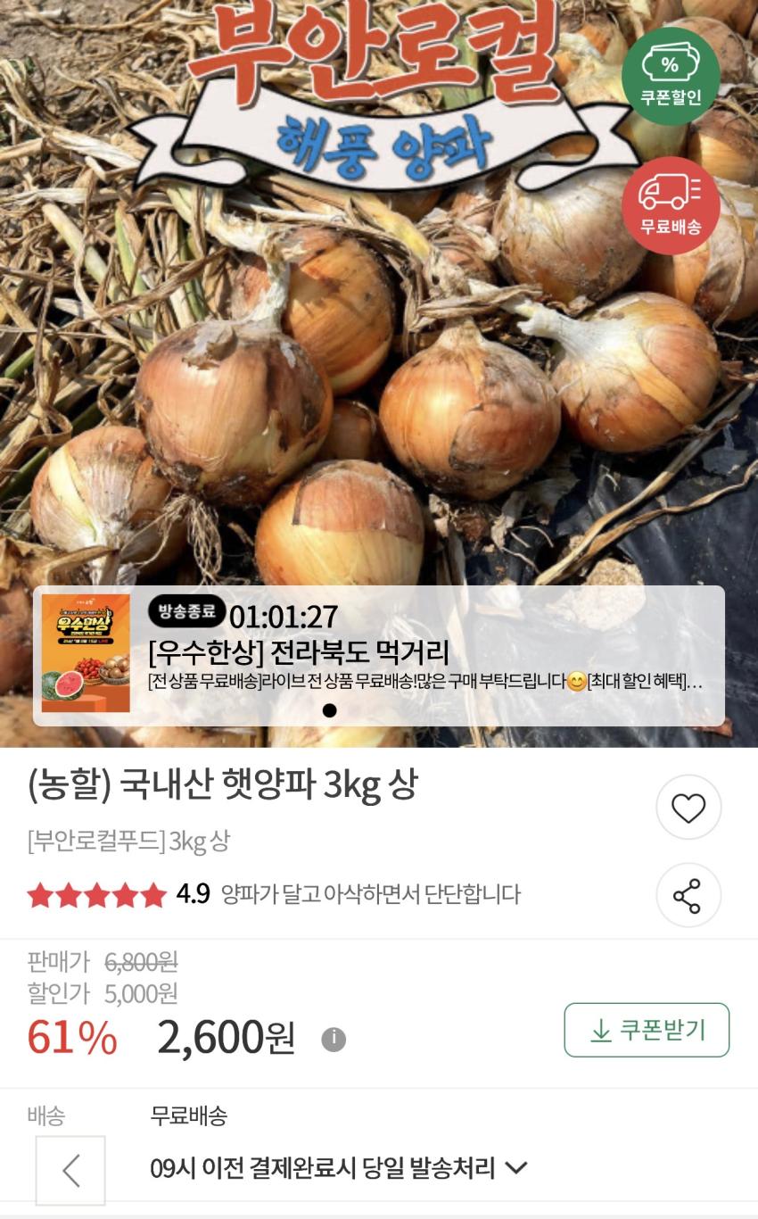 국내산 햇양파 3kg 상 2,600원