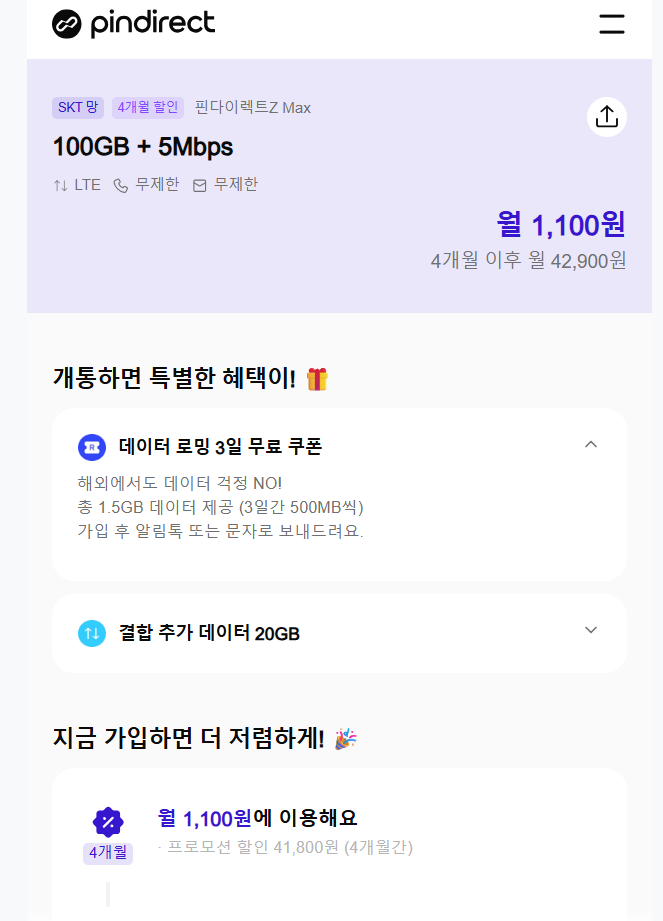 Pindrect 100GB + 5mps (4개월)