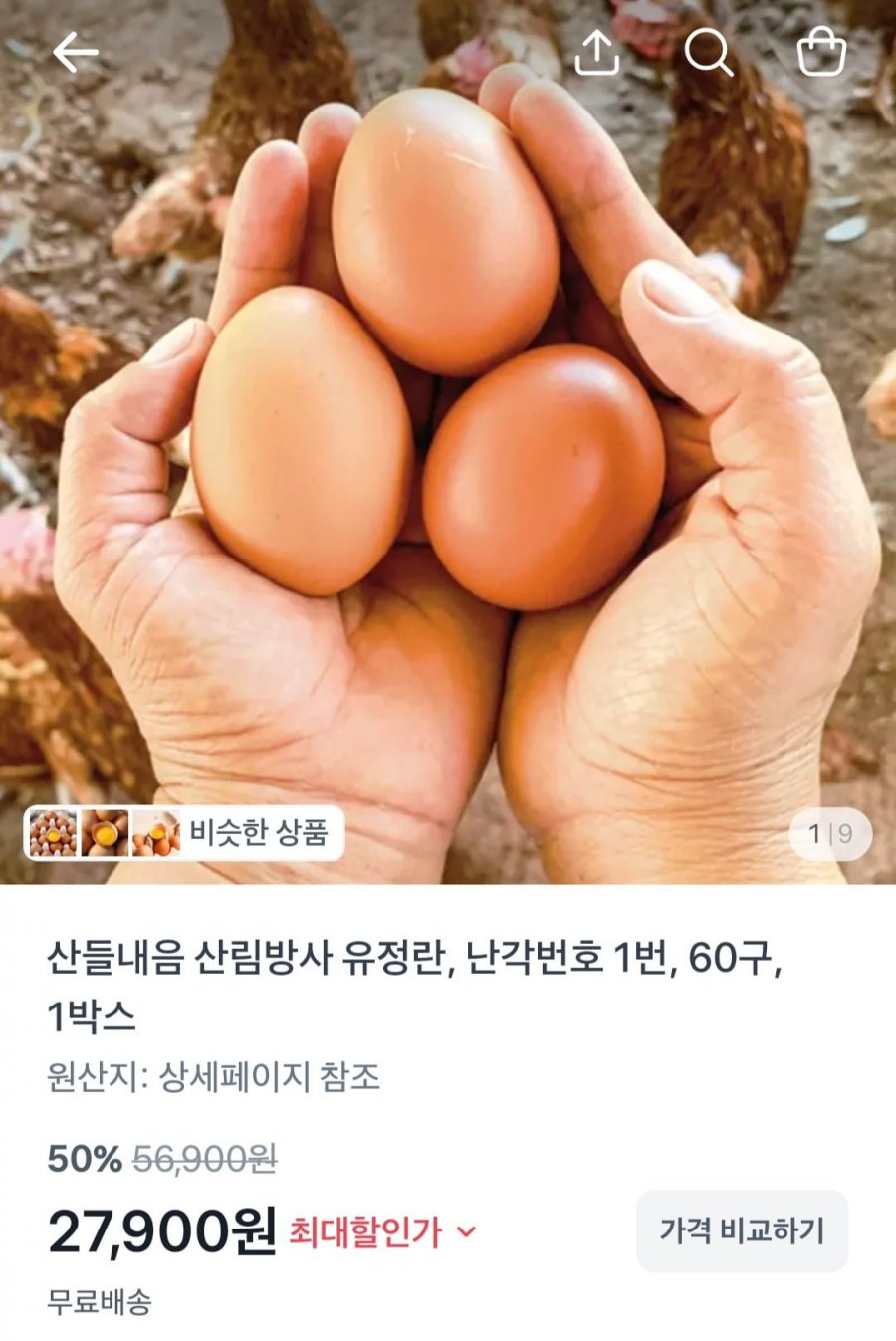 난각번호1번 산림방사 무항생제 유정란 60구 1박스 (27,900원/무료)