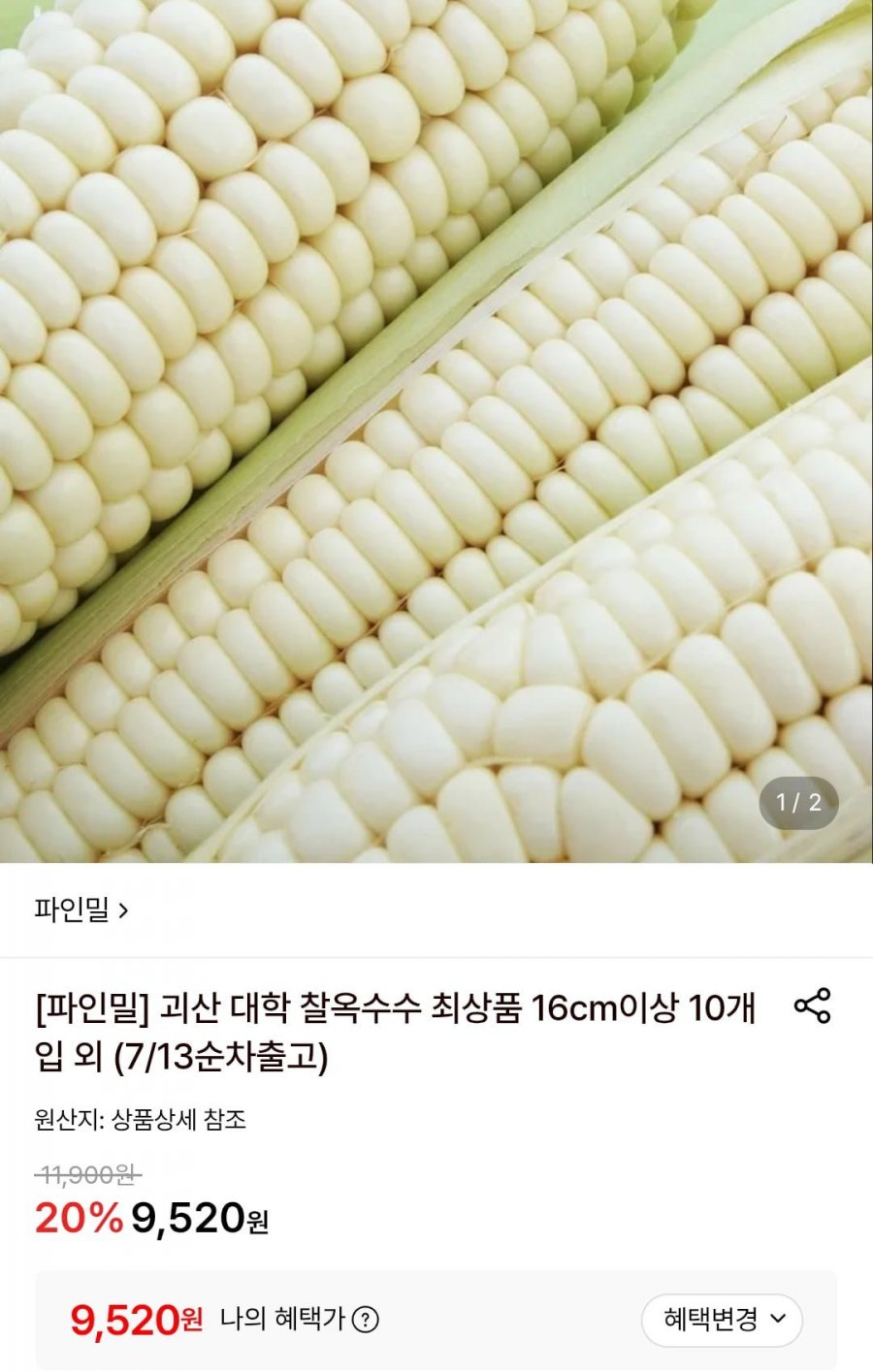 괴산 대학 찰옥수수 16cm이상 8개입 (9,520원/무료)