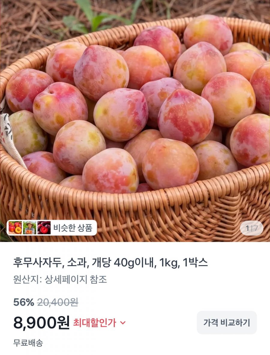 후무사 자두 1kg (8,900원/무료배송)