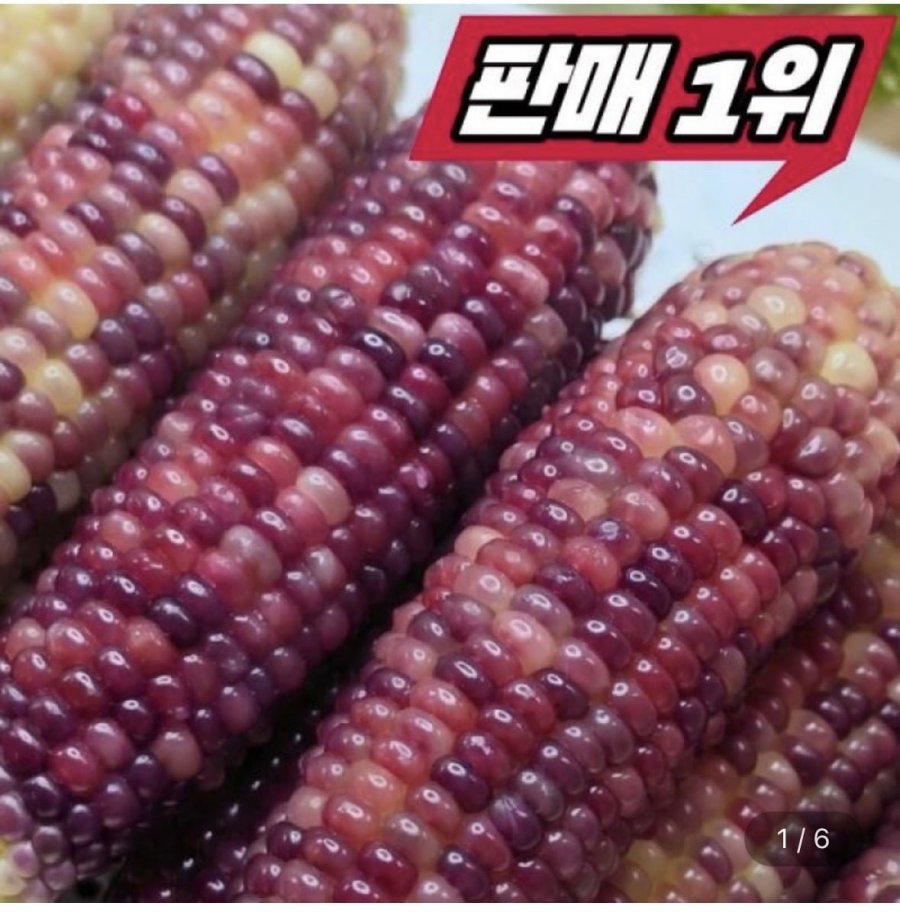 흑찰옥수수 특 24cm 이상 30개입 (24,820원/무료배송)