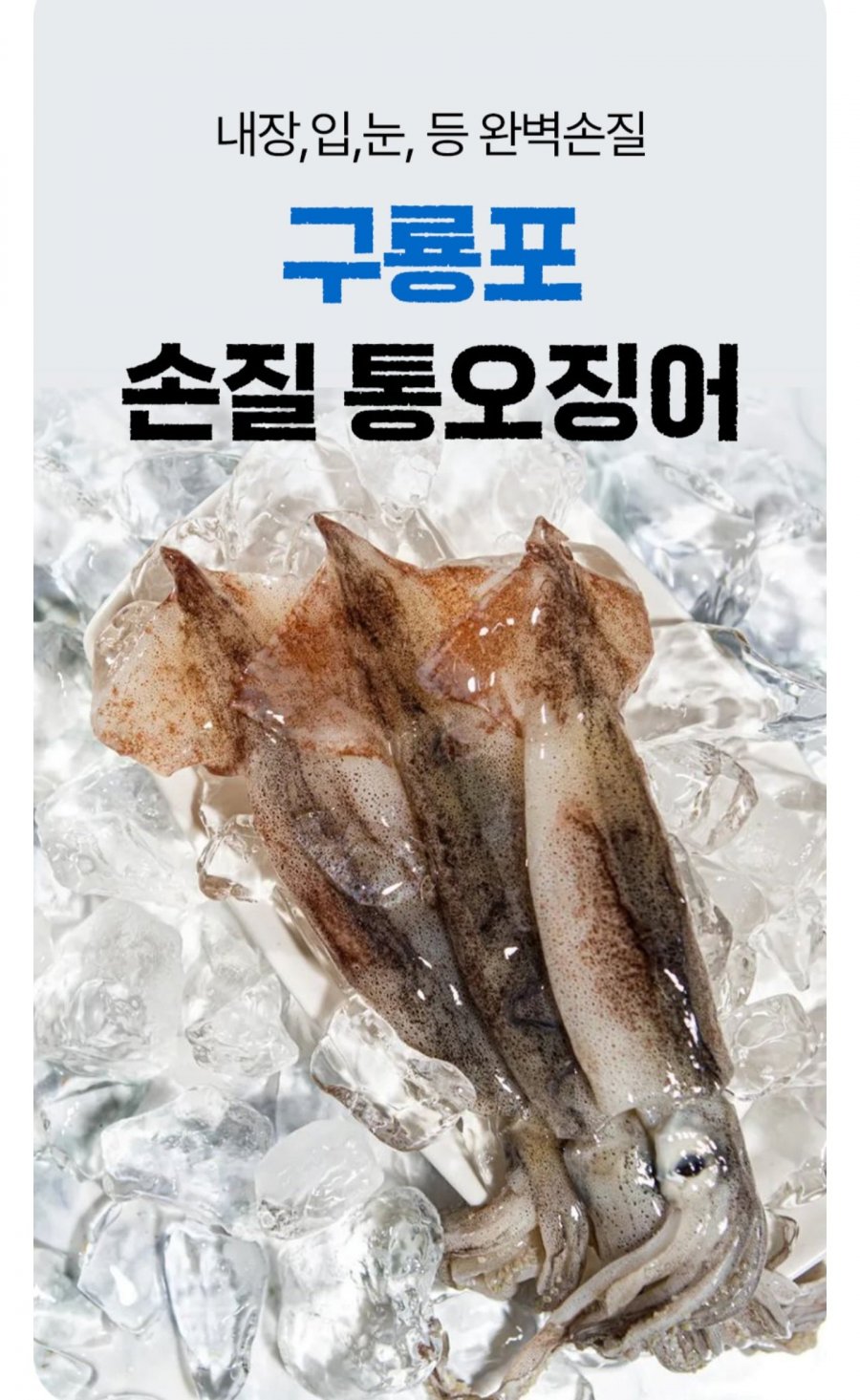 급냉 자연산 손질 통오징어 220g4팩 (14,880원/무배)