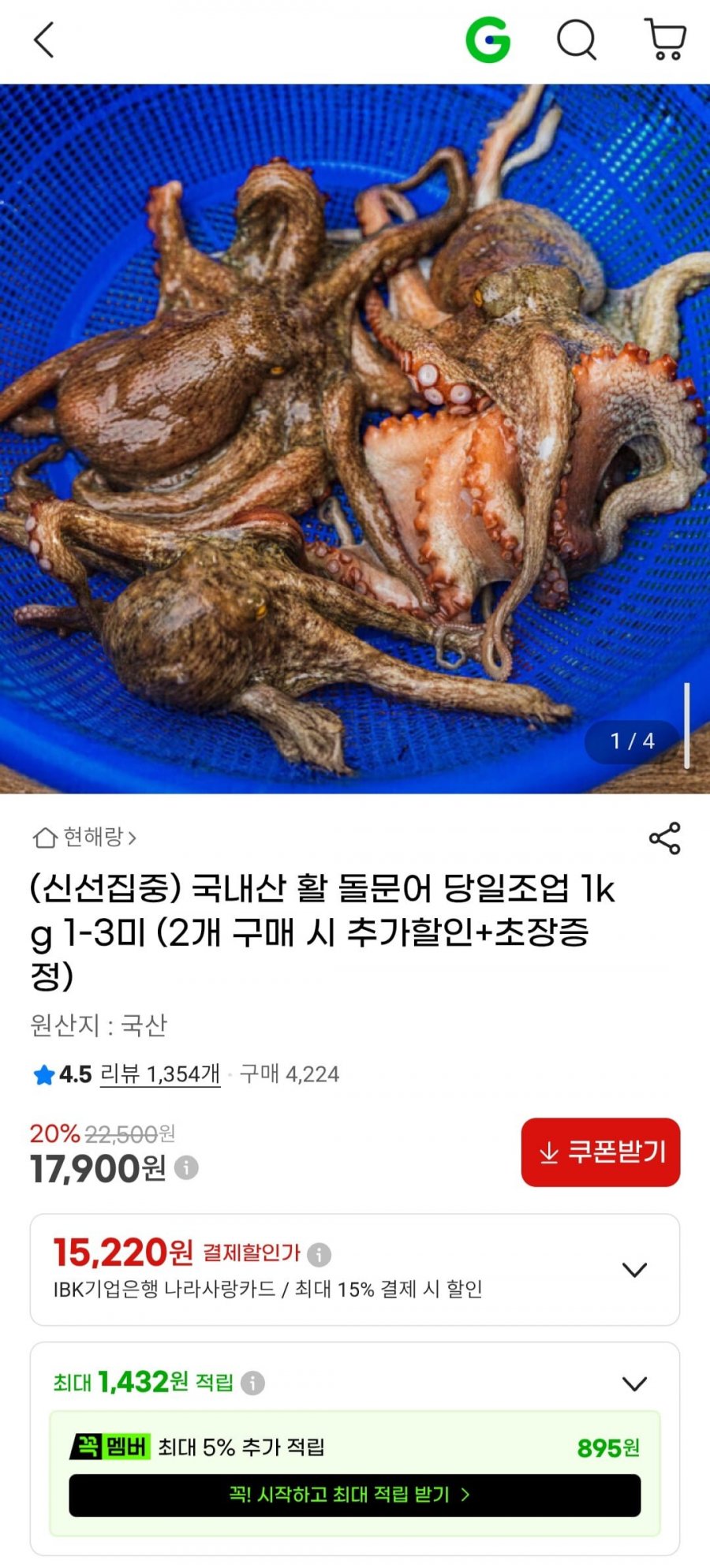 국내산 활 돌문어 당일조업 1kg 1-3미 (17,900원/무배)