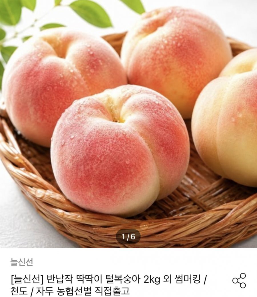 고당도 백도 복숭아 로얄과 2kg (토스17,015원/무료)